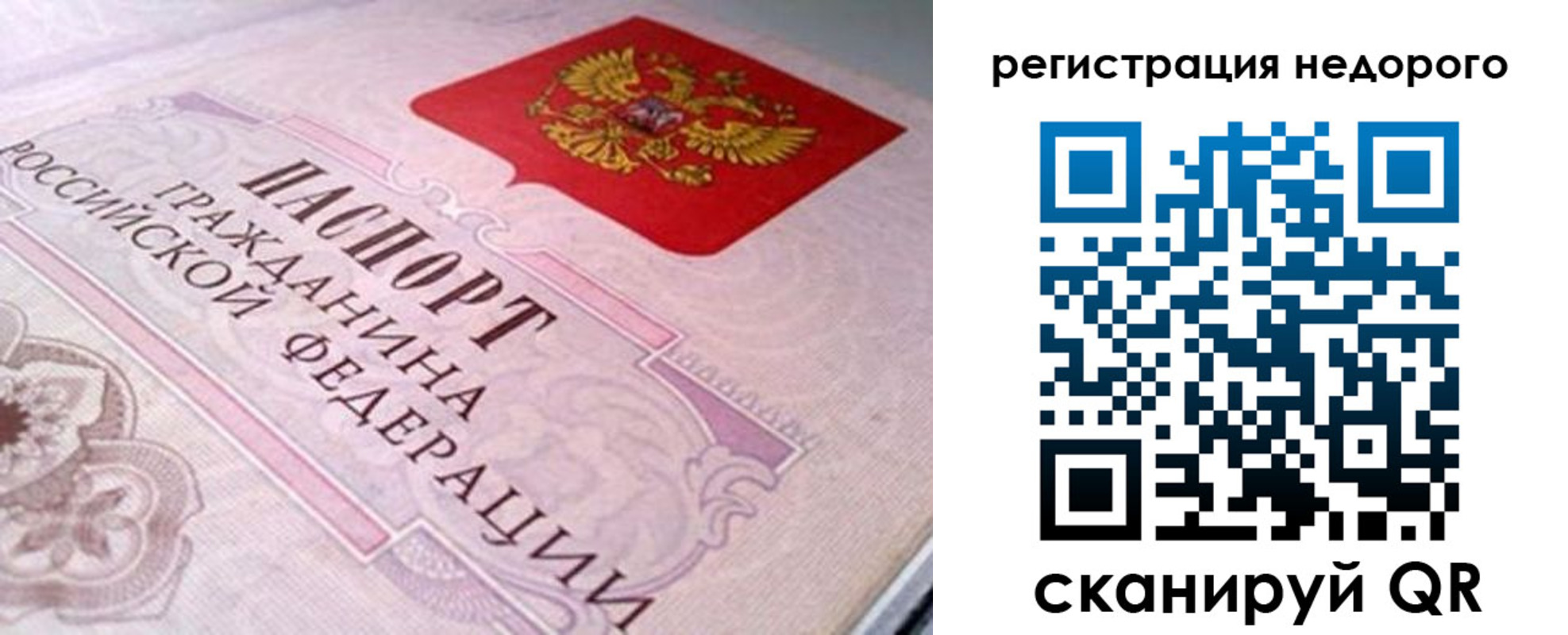 регистрация для дет. сада в Кингисеппе